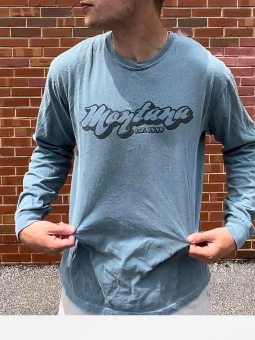 Vintage Retro Montana Tee Shirt Large